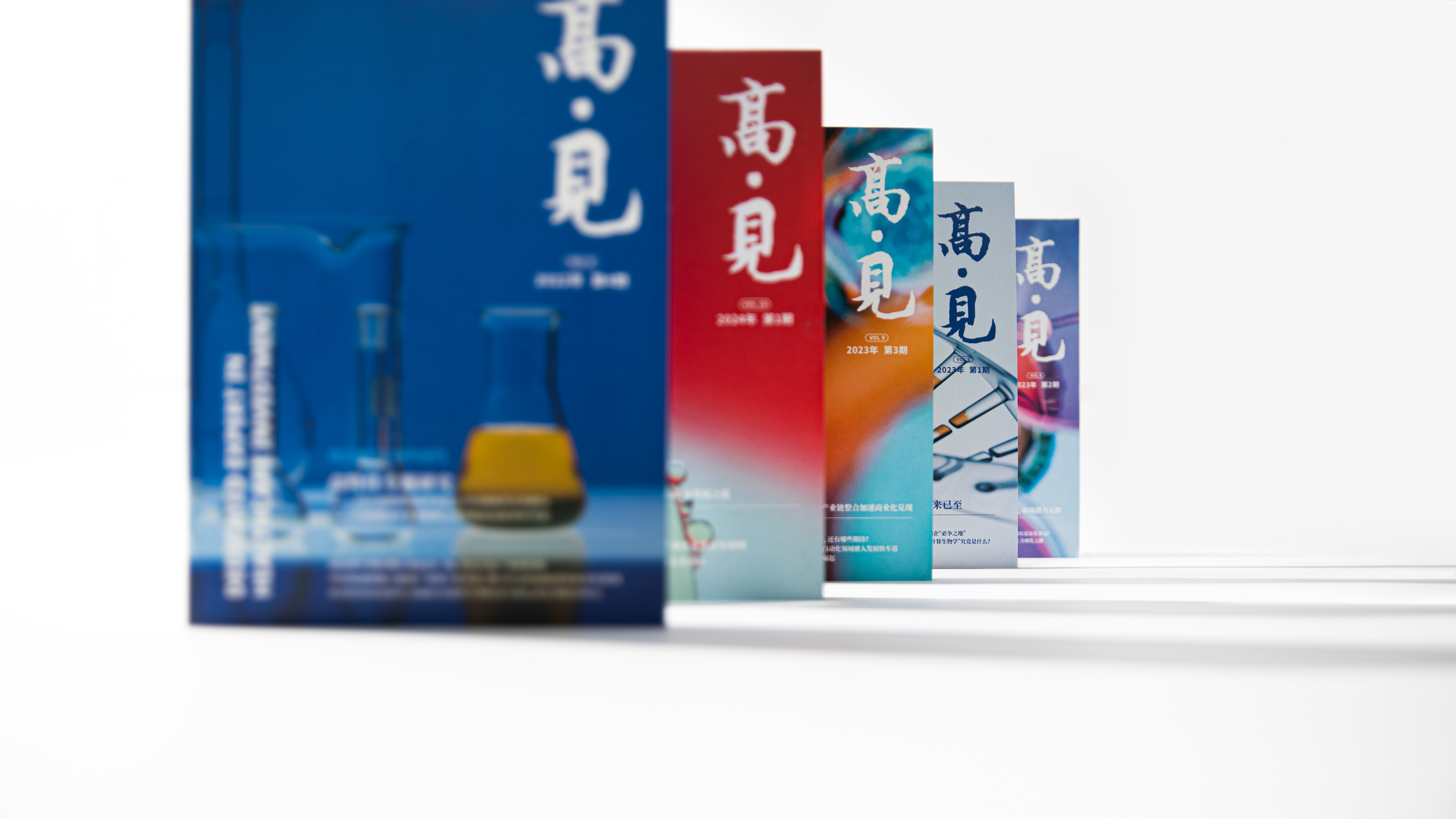 高·見 — 項目預覽