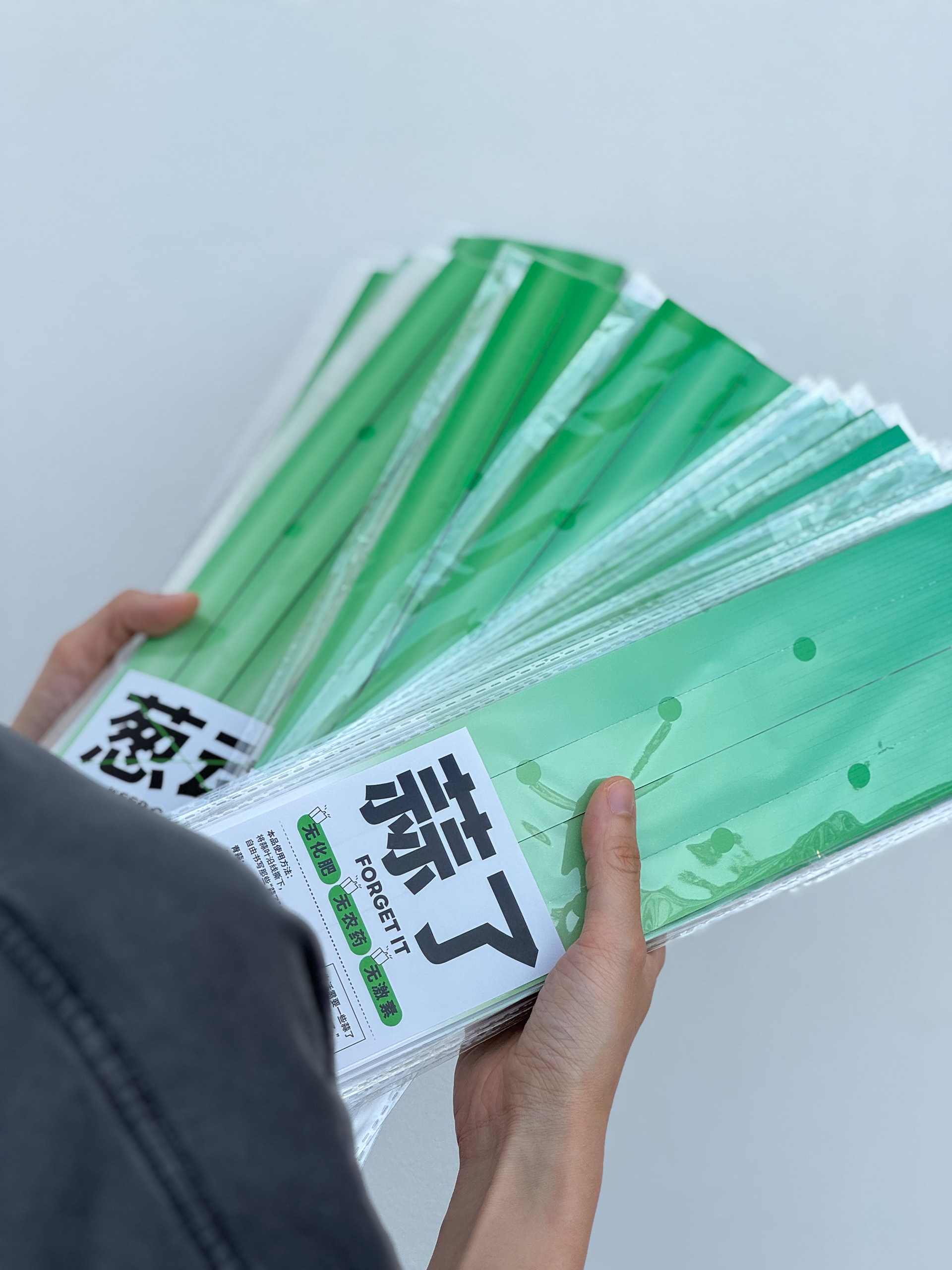 蔬菜系列便箋的展示。