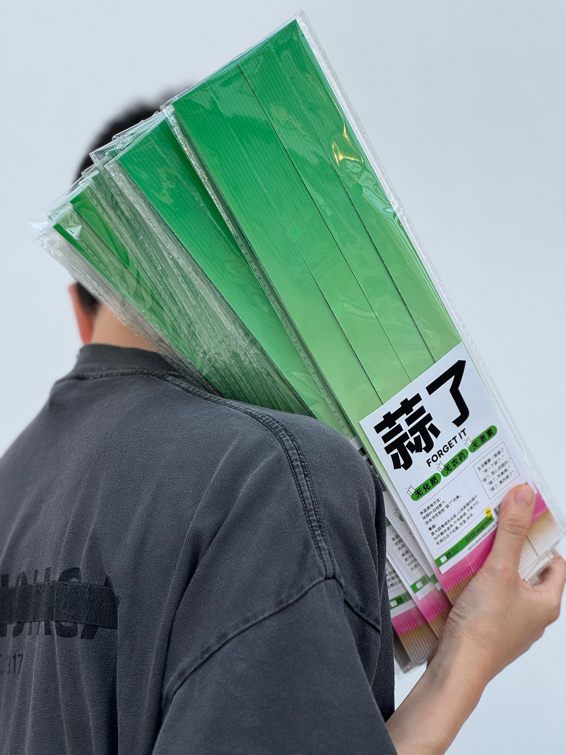 人物手持多份綠色蔬菜系列便箋的展示畫面。